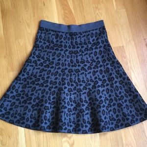 Ann Taylor skirt